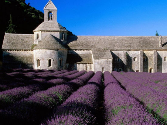 吕贝隆山区（Luberon）Sault修道院浪漫神秘的薰衣草花海