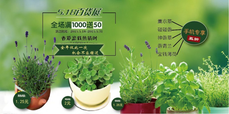 5.18百货展薰衣草盆栽批发