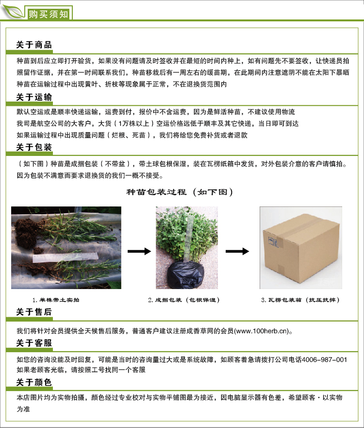 种苗种植说明-02