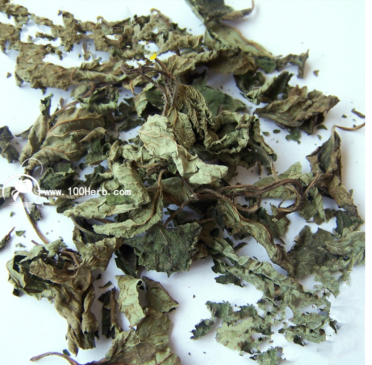 香蜂草叶