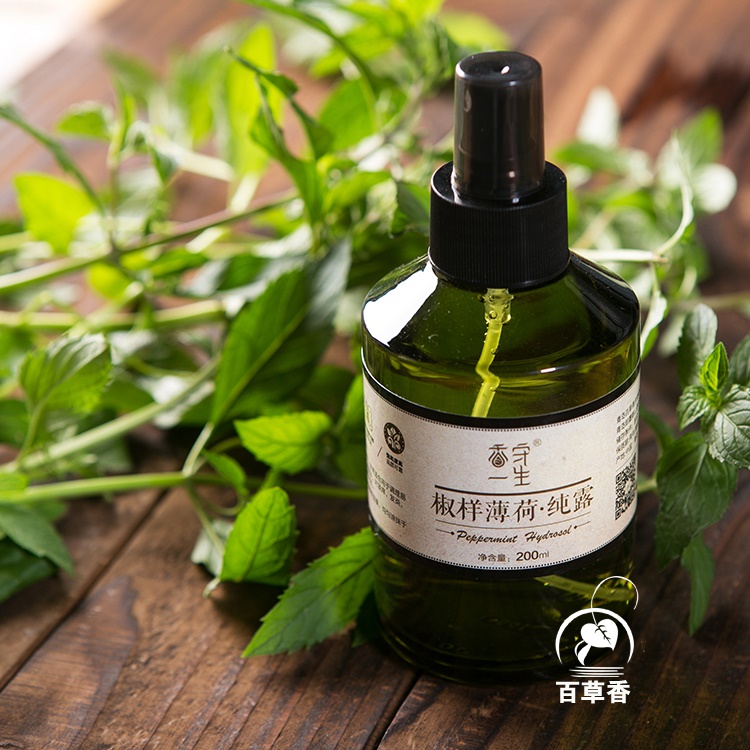薄荷纯露