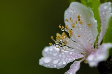 春耕正当时，是时候松松土，种种香草了