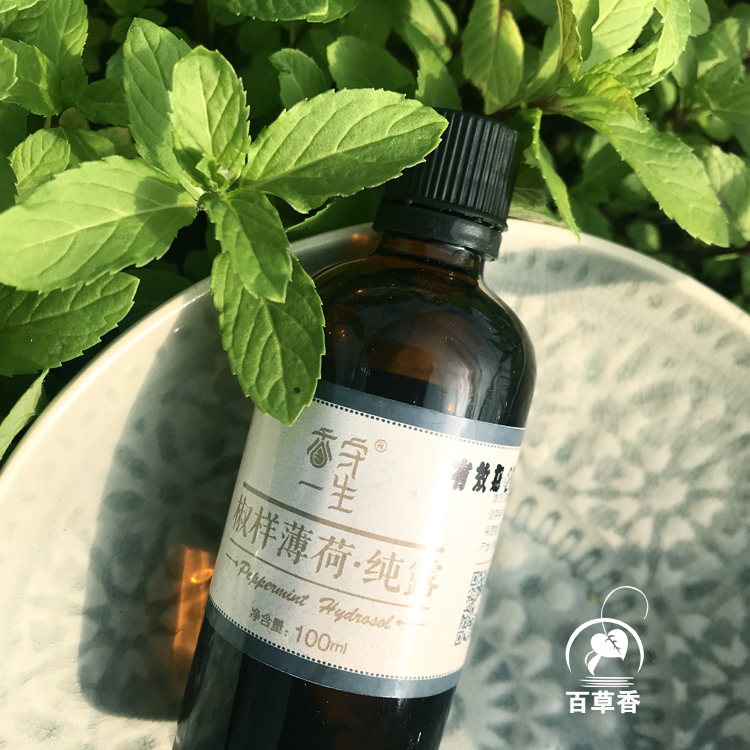 胡椒薄荷