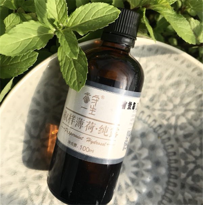 胡椒薄荷纯露100