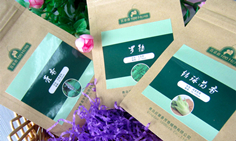 种子袋3_副本