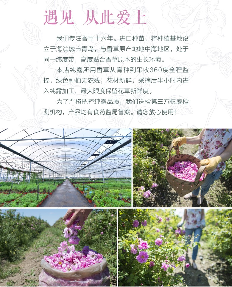 2玫瑰
