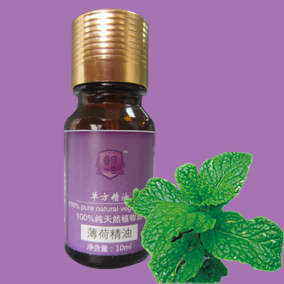 薄荷1