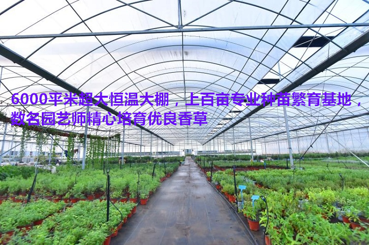 公司大棚内径750_副本