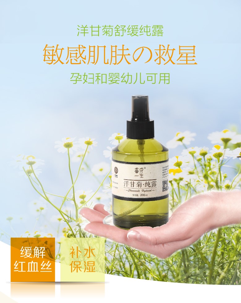 1洋甘菊