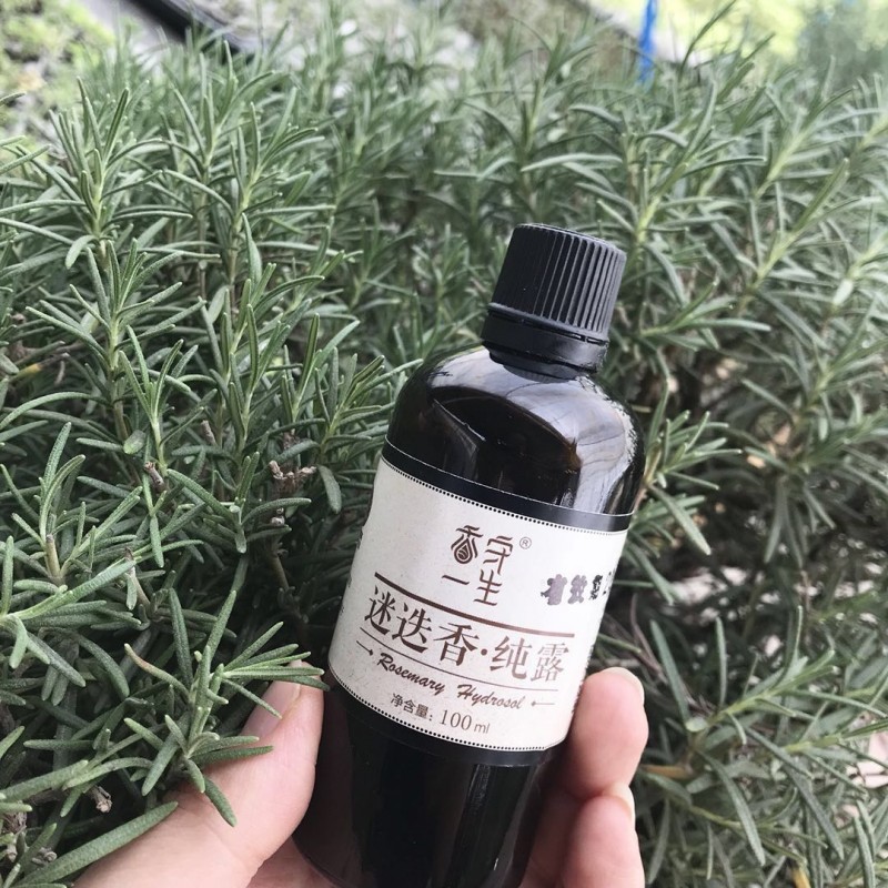 迷迭香纯露100ml