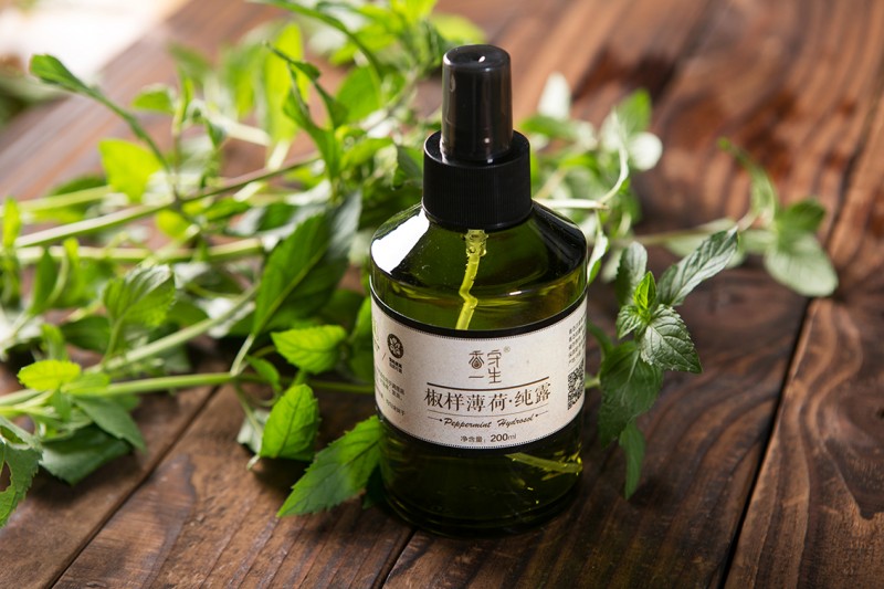 薄荷纯露1