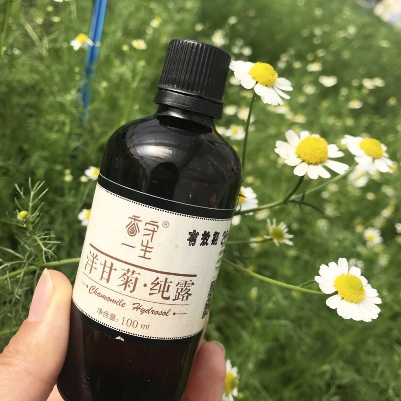洋甘菊纯露100